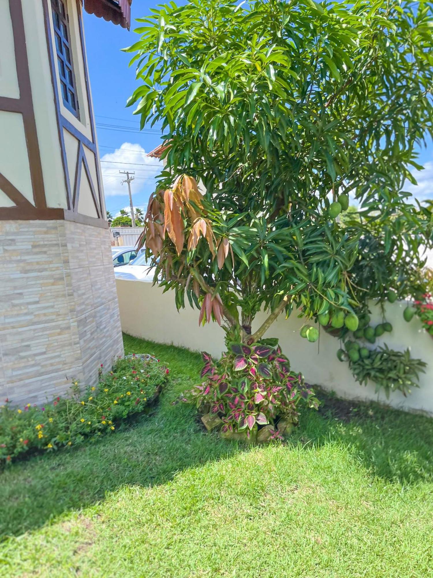 Chale Gravata - Prive Jardim De Marie Villa Ngoại thất bức ảnh